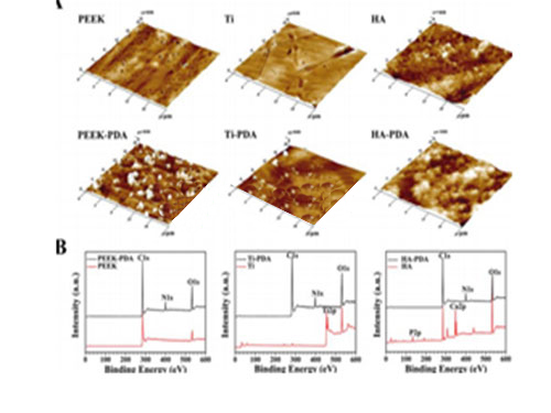 ZYPEEK作為原料的研發成果發表在多篇刊物上